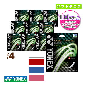 �y�\�t�g�e�j�X�X�g�����O�i�P���j ���l�b�N�X�z �w10���P�ʁx�T�C�o�[�i�`�������Q�C���^CYBER NATURAL GALE�iCSG650GA�j