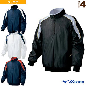 y싅EFAiWjAj ~Ymz n[tZIPWPbg 2013NEf WjA 52WJ387