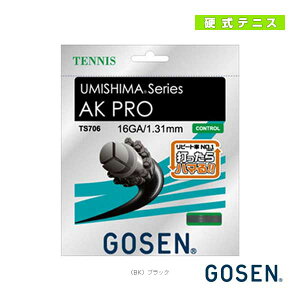 yejXXgOiPj S[Zz E~V} AKv 16 UMISHIMA AK PRO 16 ubN TS706