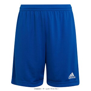 TbJ[EFAiWjAj AfB_X ENTRADA 22 Gg[_22 V[c WjA KGO51