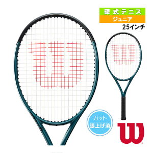 yejXPbg EB\z Eg 25 V4.0 ULTRA 25 V4.0 WR116610S