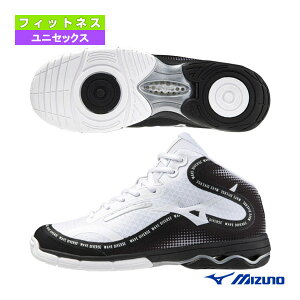 tBbglXV[Y ~Ym EG[u_Co[XDE2 WAVE DIVERSE DE 2 jZbNX K1GF2374