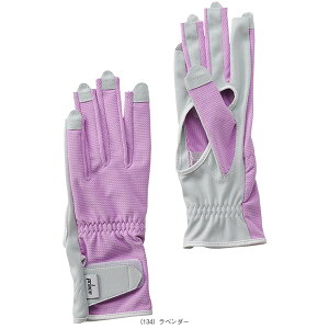 yejXANZTE vXz TJlCX[AiALOO[u fB[X PG988