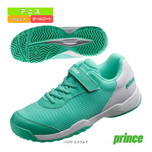 ejXV[Y vX DPS453 I[R[gpV[Y WjA DPS453