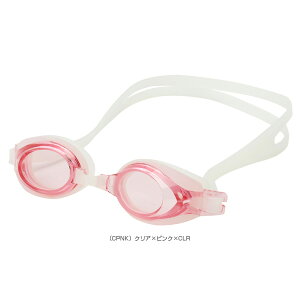 yjANZTE A[iz geB^S[O^m~߁^FINAF^WjAiAGL4100Jj