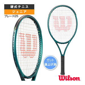 ejXPbg EB\ u[h25 BLADE 25 V9 WR151610