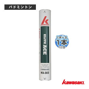 oh~gVg kawasaki(JTL) G[gG[Xw1{i1_[XE12jx KS-303