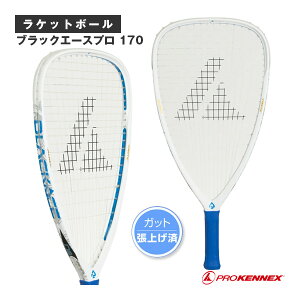 Pbg{[Pbg vPlbNX ubNG[Xv 170 Black Ace Pro 170 ver.25 XgO CP-14416