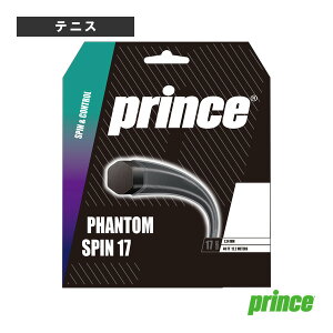 �e�j�X�X�g�����O�i�P���j �v�����X �t�@���g���X�s��17 PHANTOM SPIN 17 7JJ049
