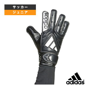 TbJ[ANZTE AfB_X Rp Nu S[L[p[O[u WjA KWA38