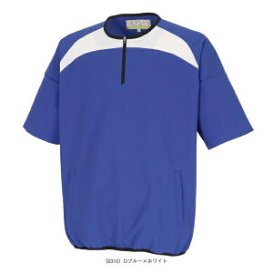 싅EFAiY/jj GXGXPC n[tZIP NXg[jO BWC2501