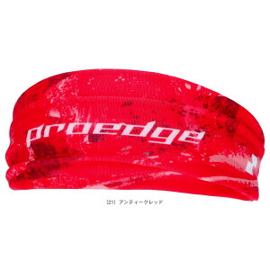 �싅�A�N�Z�T���E���� �G�X�G�X�P�C proedge �v���G�b�W �O���t�B�b�N�w�A�o���h EYA26018