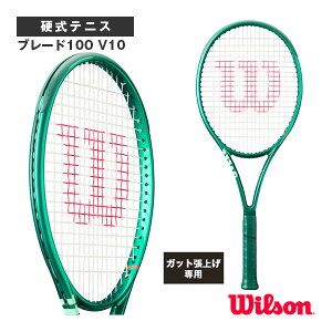 �e�j�X���P�b�g �E�B���\�� �y���グ�����z�u���[�h100 V10 BLADE 100 V10 WR208211