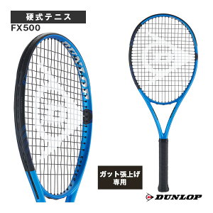 �e�j�X���P�b�g �_�����b�v �y���グ�����zFX500 DS22301