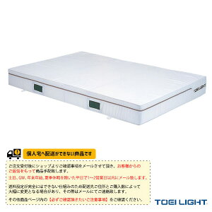 ̈ٗpiݔEi TOEI(g[GC) [ʓr]Go[}bg |GXez p 200×300×20cm G-2011