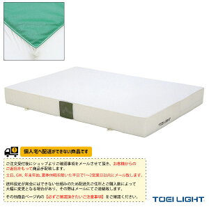 ̈ٗpiݔEi TOEI(g[GC) [ʓr]Go[}bg |GXez p ׂ~ߕt 150×200×20cm G-2020