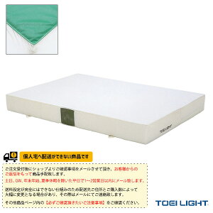 ̈ٗpiݔEi TOEI(g[GC) [ʓr]Go[}bg |GXez p ׂ~ߕt 200×300×20cm G-2021