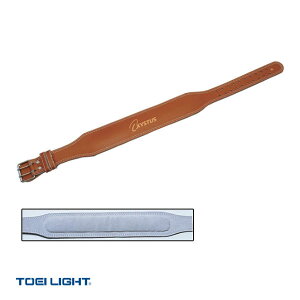 tBbglXg[jOpi TOEI(g[GC) EGCgg[jOxg H-7454