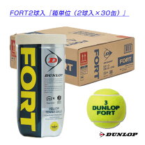 楽天市場】テニスボール ダンロップ フォート 2球入の通販