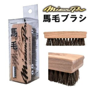 n uV ~Ymv  z[XuV ꗎƂ Ou O[u XpCN  싅 eiX 1GJYG40900