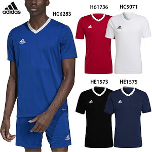 AfB_X ENTRADA22 W[W[ gbvX g[jOVc adidas ZG486