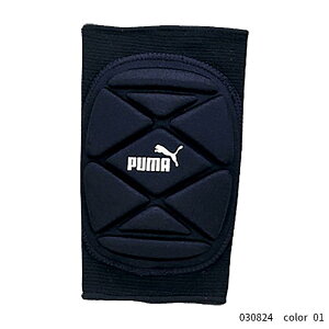 v[} j[K[hyA ANZT[ ANZT̑ 030824 PUMA