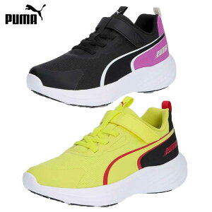 SALE �v�[�} �X�s�[�h �����X�^�[ �L�b�Y �W���j�A �q���C �^���C �}�W�b�N�e�[�v �x���g�^�C�v ���[�J�b�g �X�j�[�J�[ �ʉ� �ʊw �j�̎q ���̎q 309935 puma