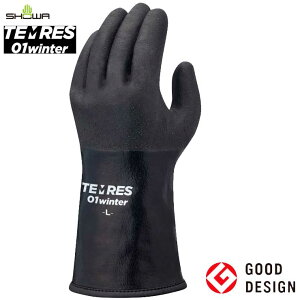 eX 01 winter h oR   oCN h  N TEMRES 01 WINTER eXh eX01EC^[