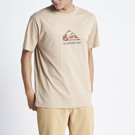 クイックシルバー Tシャツ メンズ 半袖 SIMPLE PLEASURE MW ST QST222010-BGE