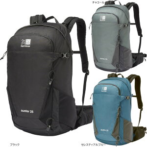 J}[ bN I[X^[ 25 auster 25 501171