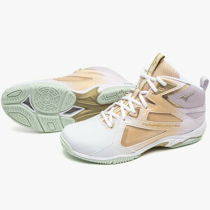 在庫限り ミズノ ウエーブダイバースLG4 Ltd フィットネス エアロビクスシューズ K1GF247541