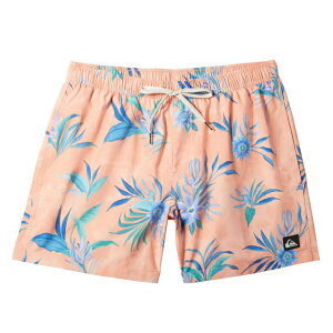 �N�C�b�N�V���o�[ �T�[�t�p���c �����Y �{�[�h�V���[�c EVERYDAY MIX VOLLEY 17NB AQYJV03149-MFQ7