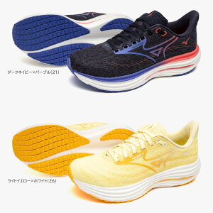 2025NH~ V ~Ym EG[uC_[29 jOV[Y fB[X J1GD250321/J1GD250326