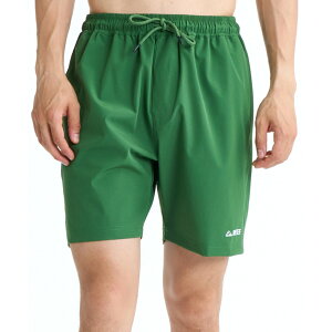 REEF ���[�t �{�[�h�V���[�c �����Y 17 VOLLEY SHORTS EBS261018-OLV