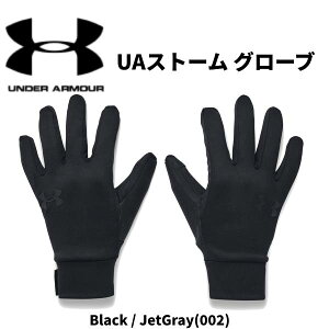 �y�S�i�|�C���g2�{+�ő�999�~OFF�N�[�|���z�A���_�[�A�[�}�[ UNDER ARMOUR �����Y �X�g�[�� �O���[�u STORM GLOVES 1377508 002