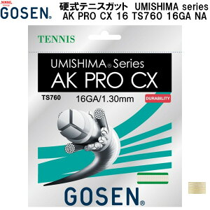 ySi|Cg3{+ő2000~OFFN[|zS[Z GOSEN d ejX Kbg XgOX UMISHIMA series AK PRO CX 16 TS760 16GA NA
