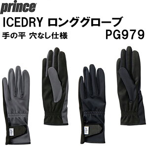 ySi|Cg3{+ő2000~OFFN[|zvX prince ejX O[u ICEDRY OO[u PG979