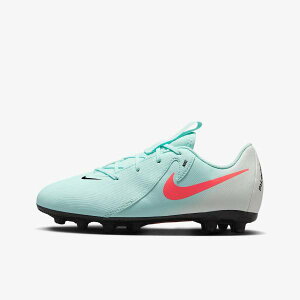 ySi|Cg3{+ő1500~OFFN[|ziCL NIKE TbJ[XpCN WjA t@g GX2 AJf~[ HG FJ2602 300