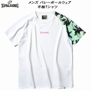 ySi|Cg2{+ő5OFFN[|zX|fBO SPALDING Y fB[X o[{[EFA TVc p[c[ X[u SMT25006V WHTGRN