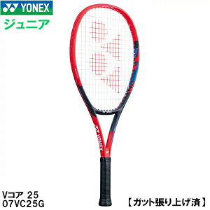 ySi|Cg3{+ő2000~OFFN[|zlbNX YONEX yKbgグρzWjA d ejX Pbg VRA 25 VCORE 25 07VC25G 651
