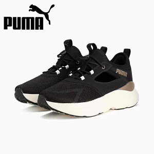 v[} PUMA JWAV[Y Xj[J[ fB[X \tgCh Cu ~[ 312001-02