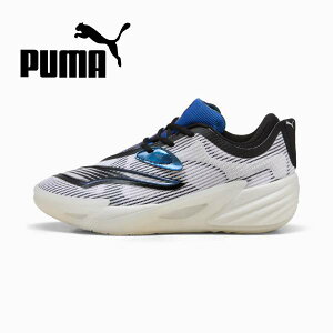 ySi|Cg5{+3OFFN[|zv[} puma Y oXPbg{[V[Y ALL-PRO NITRO 2 SHAMMGOD 312308 01