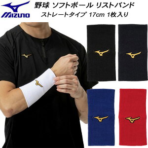 ySi|Cg10{z~Ym MIZUNO 싅 ~Ymv Xgoh Xg[g^Cv 17cm 1 12JYCY61