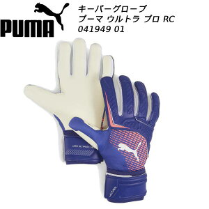 ySi|Cg3{+ő2000~OFFN[|zv[} PUMA Y L[p[O[u Eg v RC 041949 01