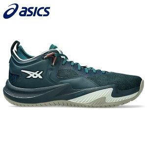 ySi|Cg10{z2025FW AVbNX asics oXPbg{[V[Y Y NOVA SURGE LOW 2 1061A051-300