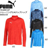 【全品ポイント2倍+全品8%OFFクーポン】プーマ PUMA メンズ レディース サッカーウエアー TEAMCUP TR 1/4…