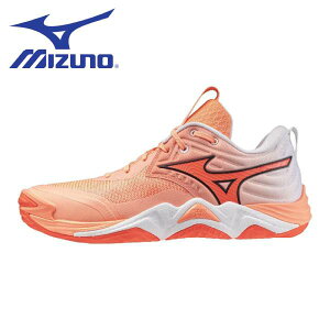 �~�Y�m MIZUNO �o���[�{�[�� �V���[�Y �����Y ���f�B�[�X �E�G�[�u���[�����^���G���[�g V1GA251280