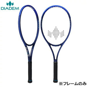 ySi|Cg3{+ő2000~OFFN[|z_CAf DIADEM yt[̂݁z d ejX Pbg@Gx[g 98 V3@ELEVATE 98 V3@TAA007 P[X͕t܂