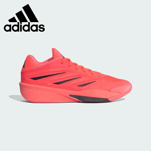 �y�S�i�|�C���g2�{&5%OFF�N�[�|���z�A�f�B�_�X adidas �o�X�P�b�g�{�[���V���[�Y �����Y ���f�B�[�X CRAZY ENERGY JAPAN LA5638