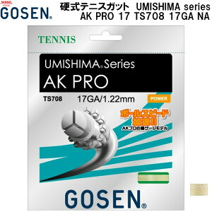 �y�S�i�|�C���g2�{+8%OFF�N�[�|���z�S�[�Z�� GOSEN �d�� �e�j�X �K�b�g �X�g�����O�X UMISHIMA series AK PRO 17 TS708 17GA NA